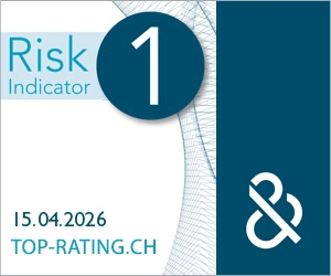 D&B Rating Certificate